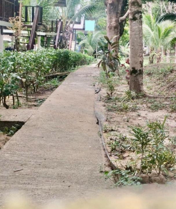 Photo of Others in Ranong