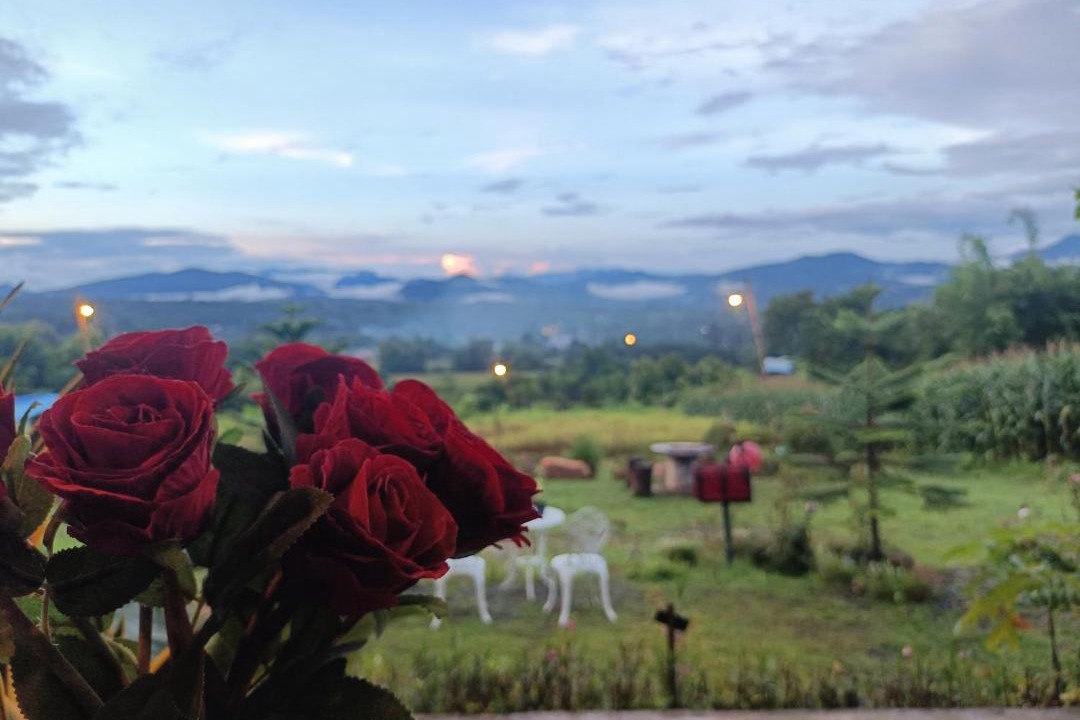 Photo of Others in Pai