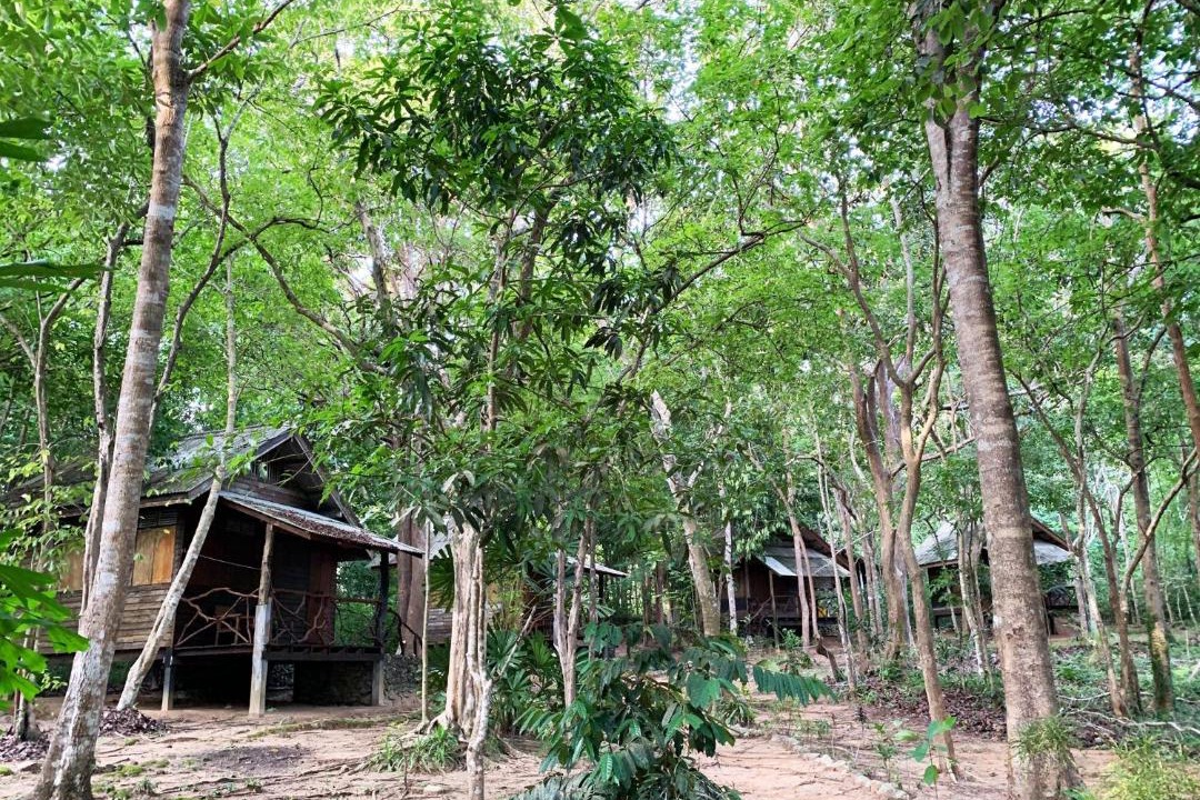 Photo of Others in Nuea Khlong