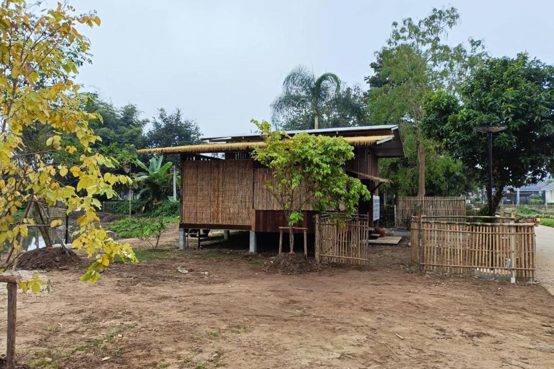Photo of Others in Pai