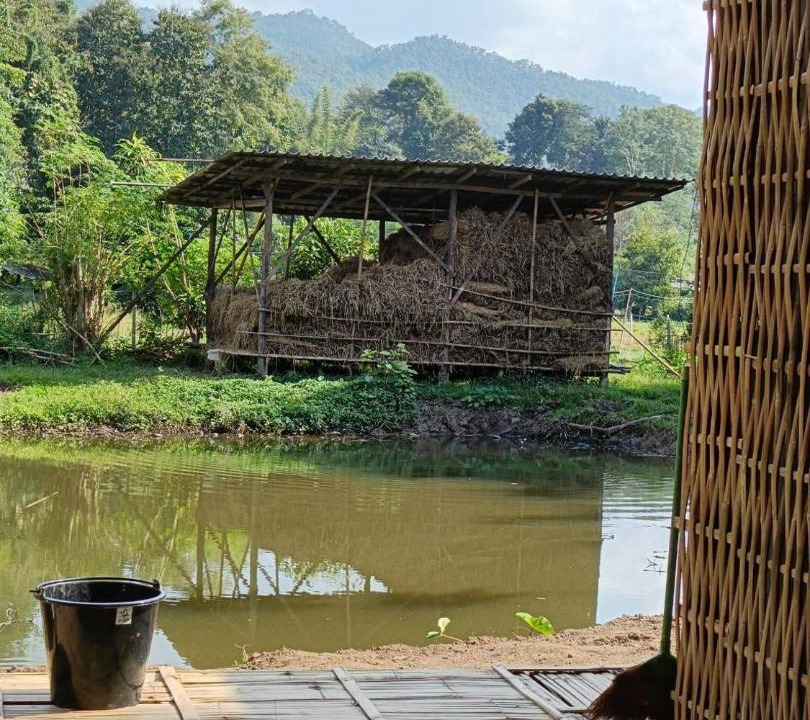Photo of Others in Pai