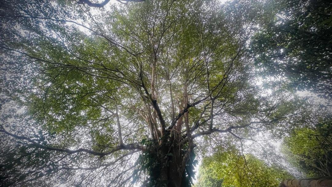 Photo of Outdoor in Khun Yuam