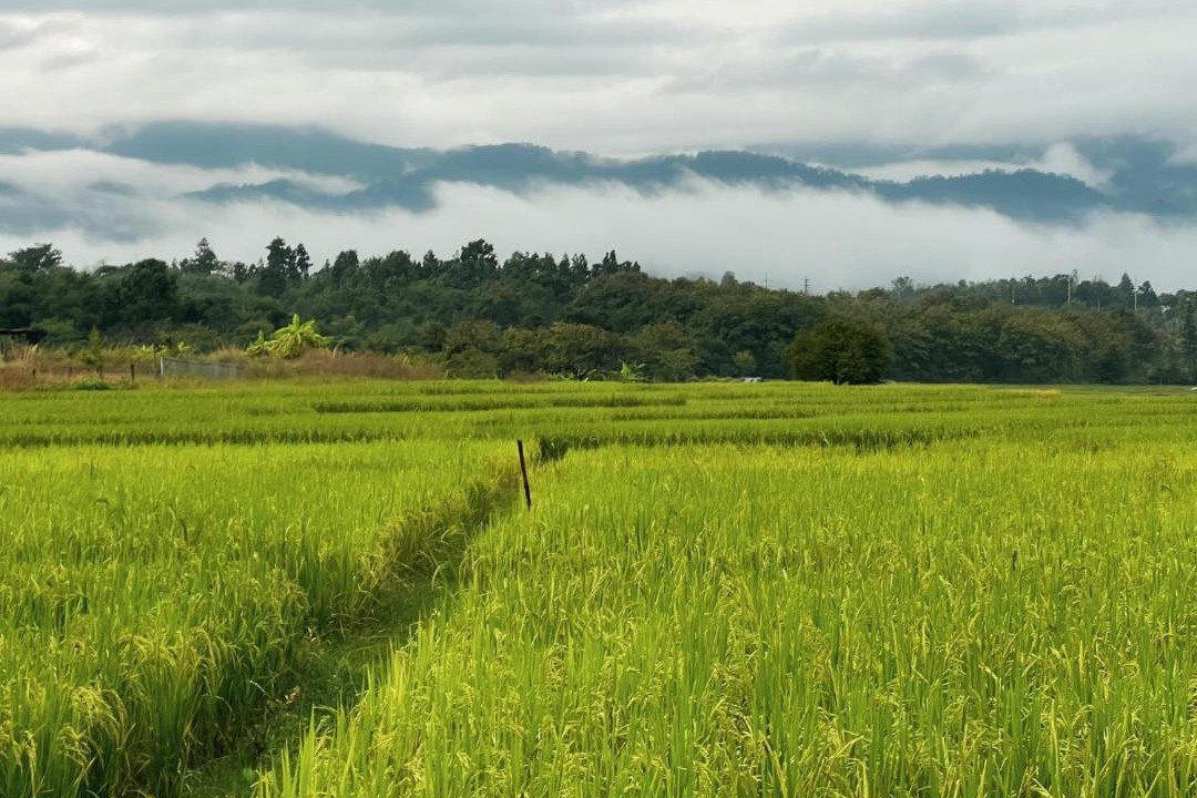 Photo of Others in Pai