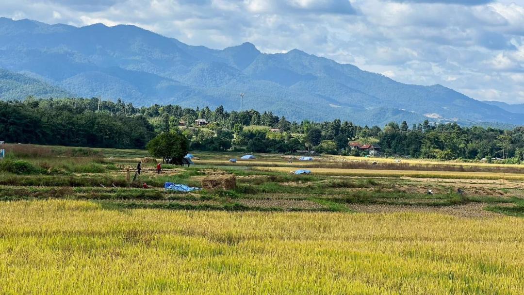 Photo of Others in Pai
