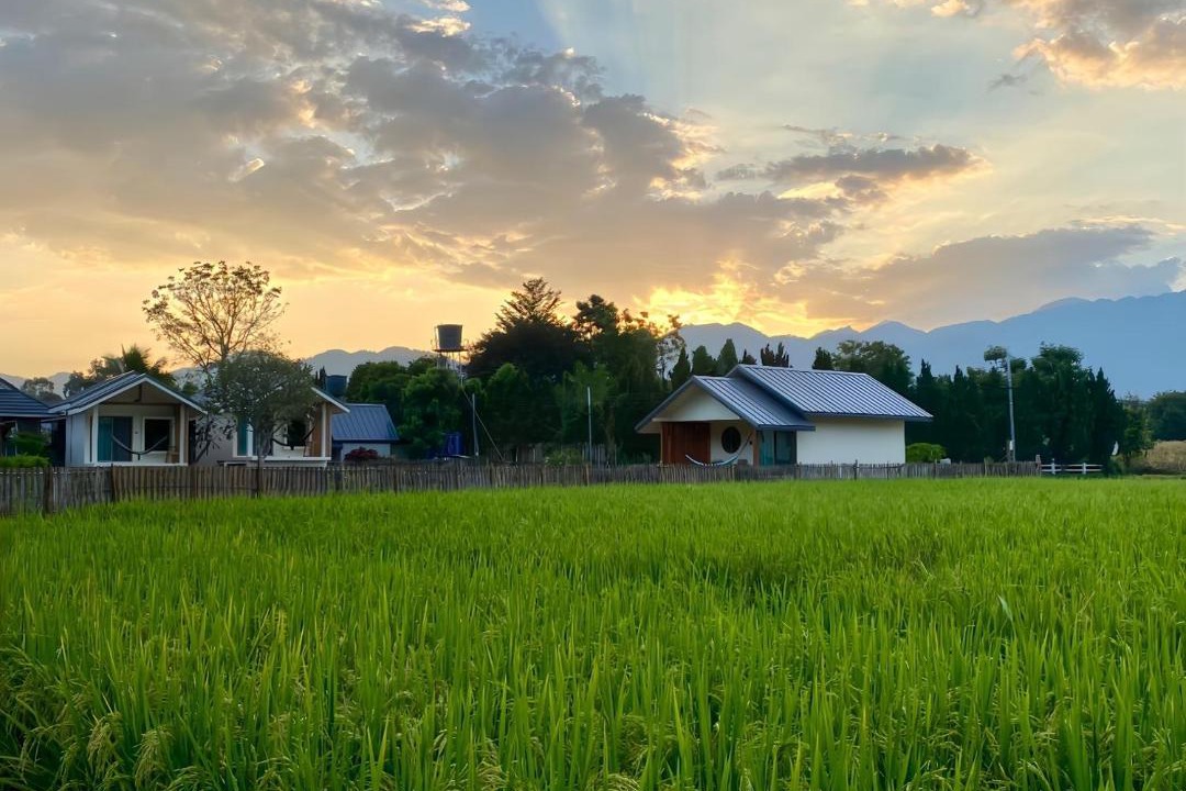 Photo of Others in Pai