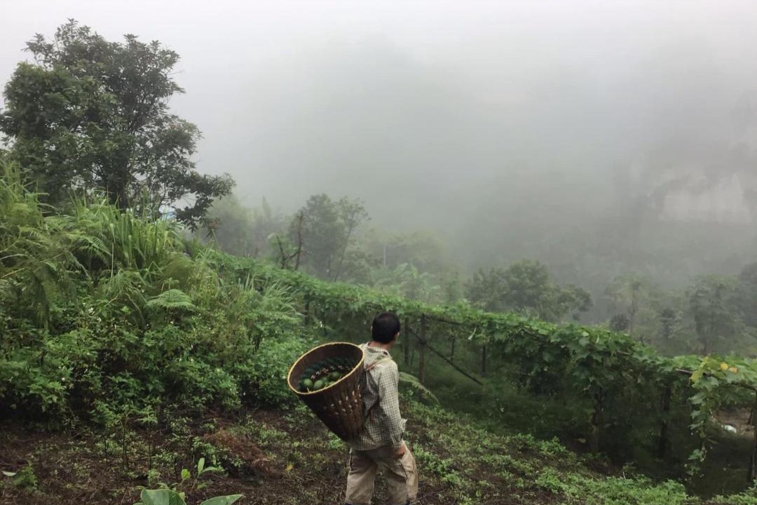 Photo of Others in Samoeng
