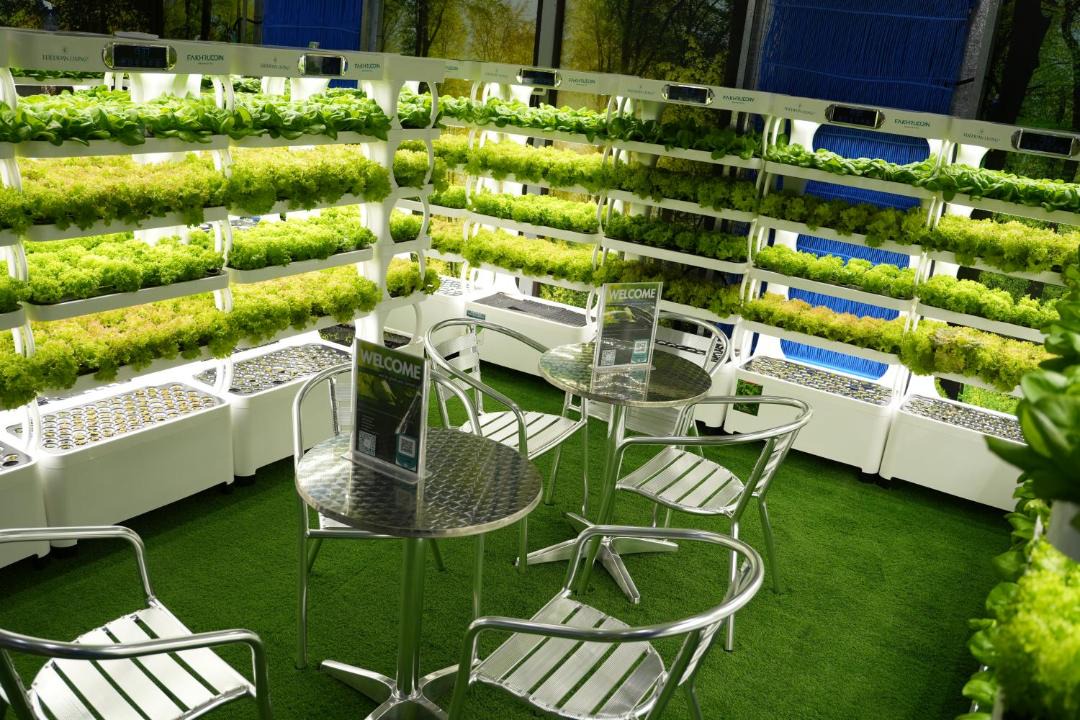 Photo of Others in Dubai Sports City