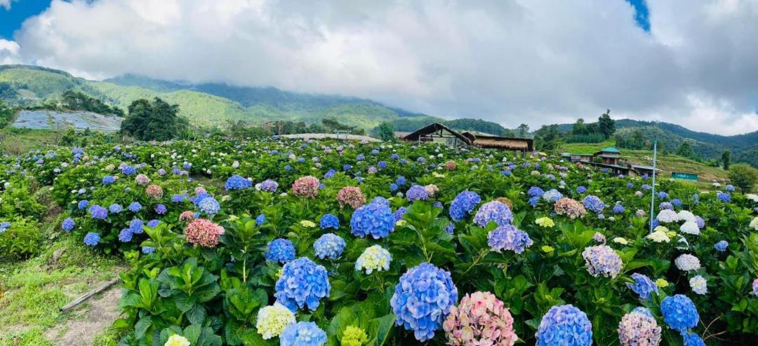 Photo of Outdoor in Doi Lo
