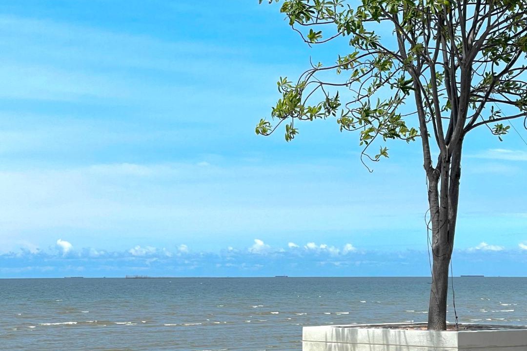Photo of Others in Saen Suk