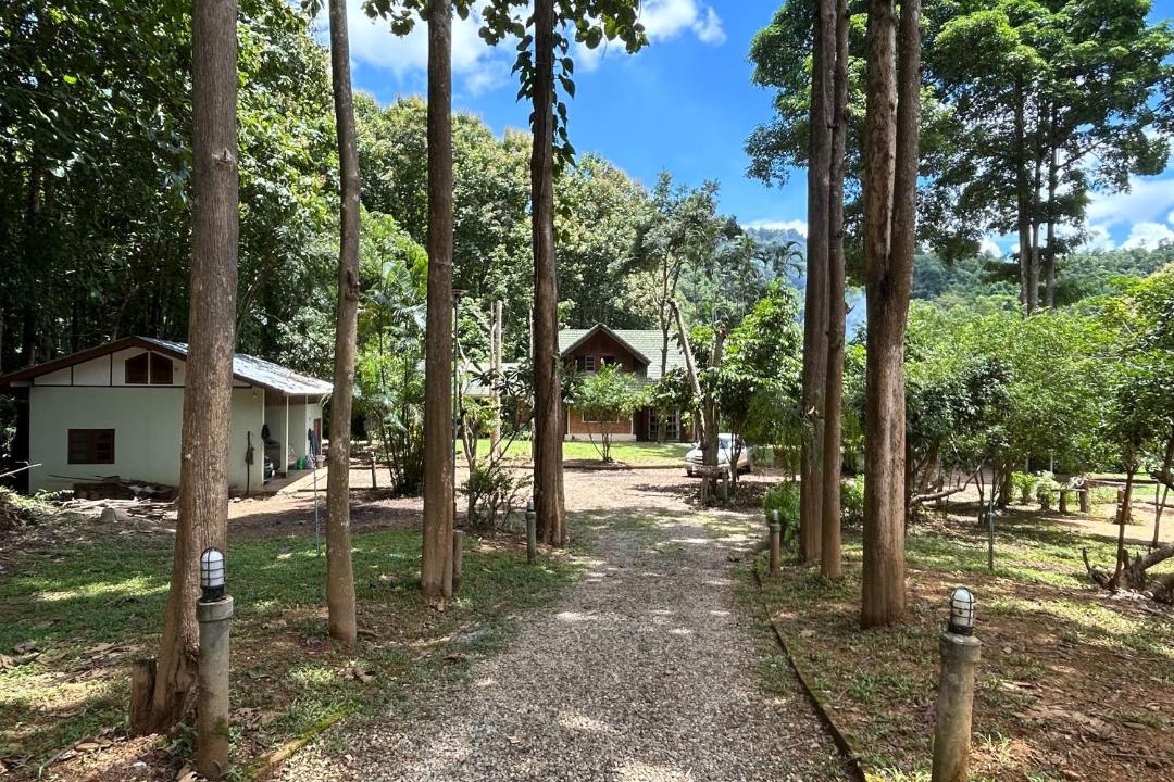 Photo of Others in Chiang Dao