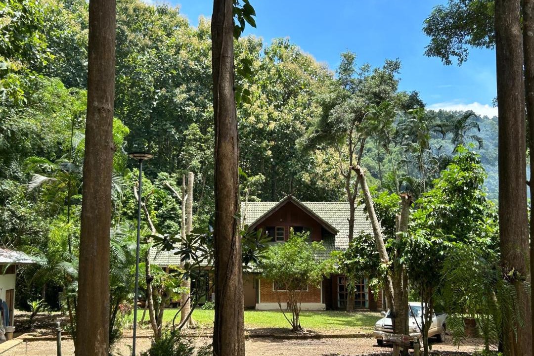 Photo of Others in Chiang Dao