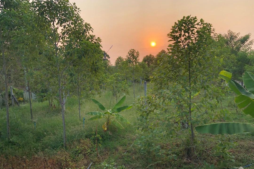 Photo of Others in Sing Buri