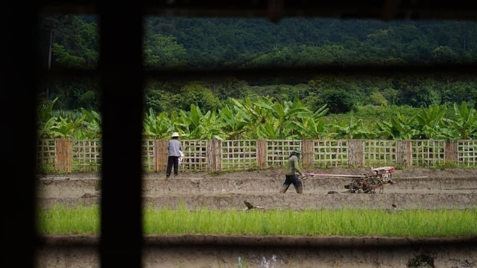 Photo of Others in Ban Ton Lung