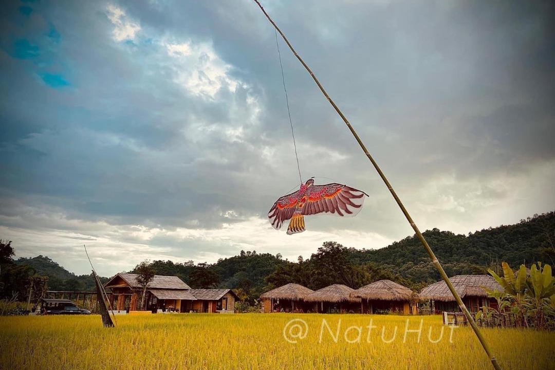 Photo of Others in Ban Ton Lung