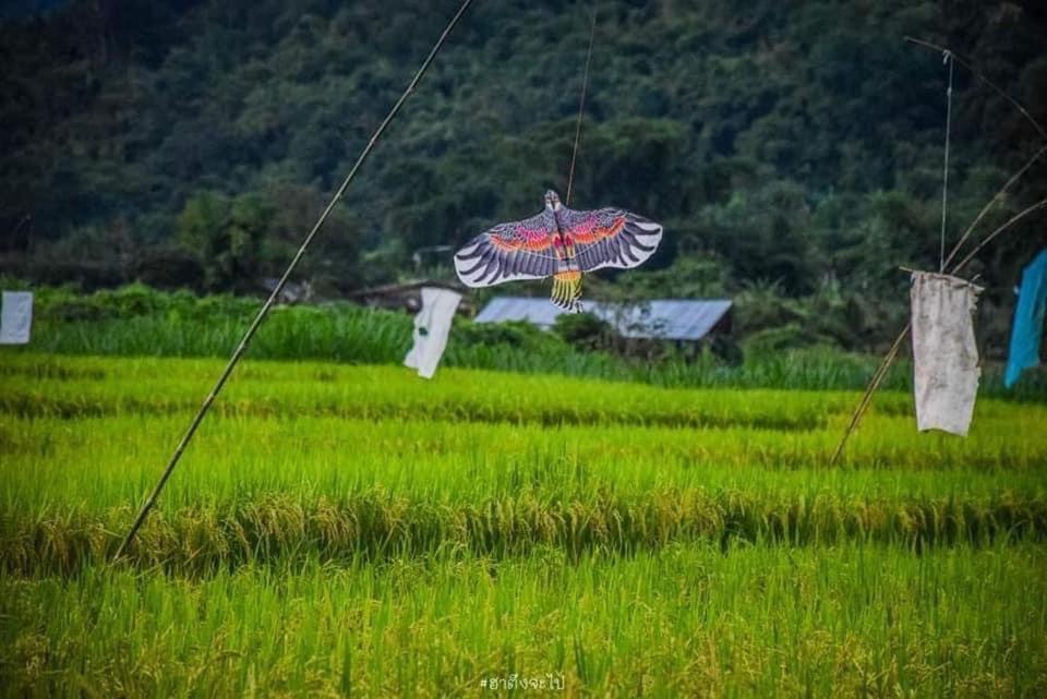 Photo of Others in Ban Ton Lung