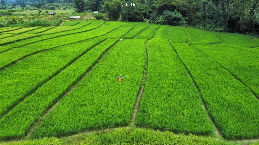 Photo of Others in Ban Ton Lung