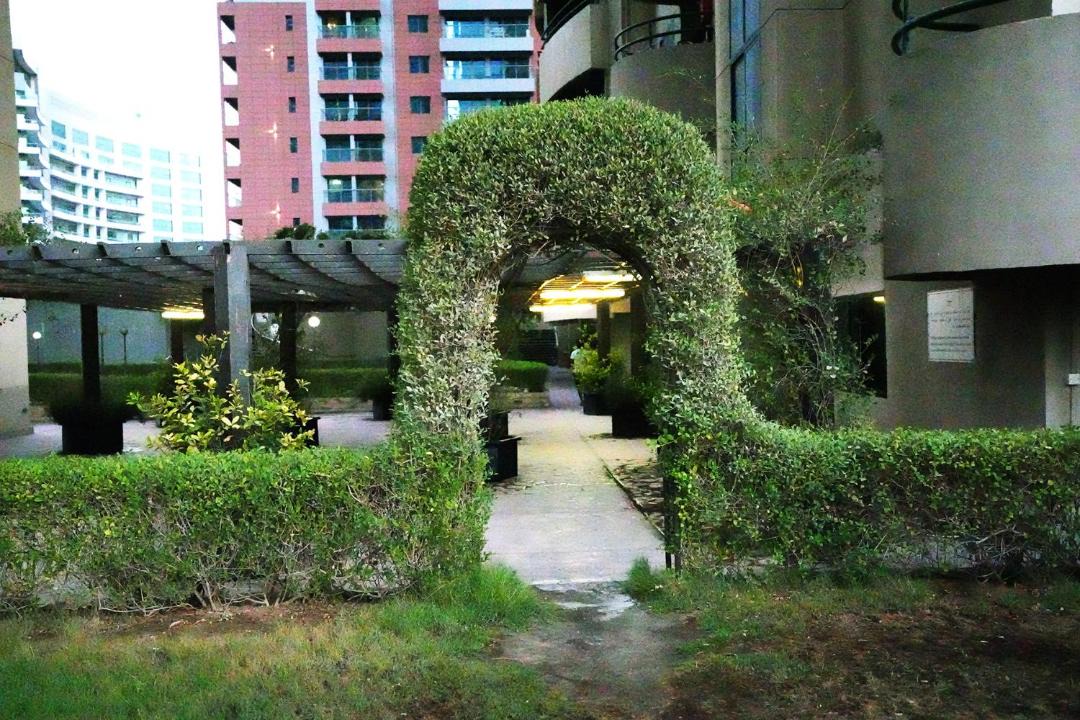 Photo of Others in Barsha Heights