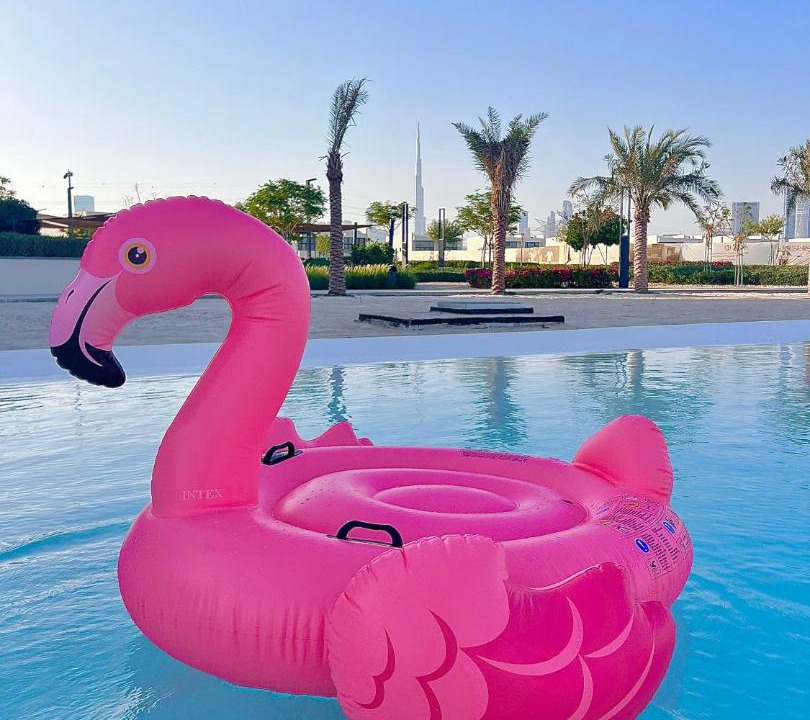 Photo of Others in Dubai