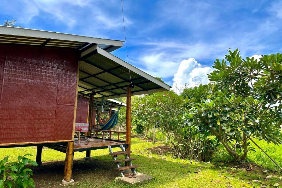 Photo of Others in Pai