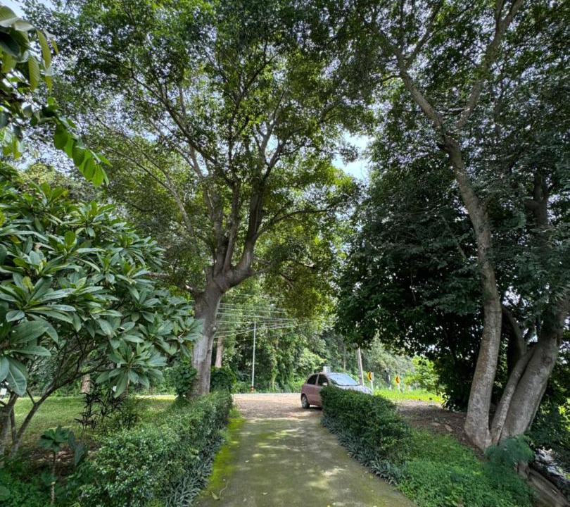 Photo of Outdoor in Mae Taeng