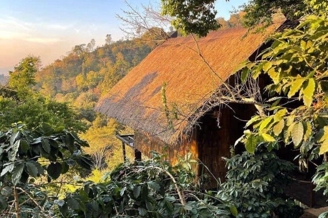 Photo of Others in Chiang Rai Province