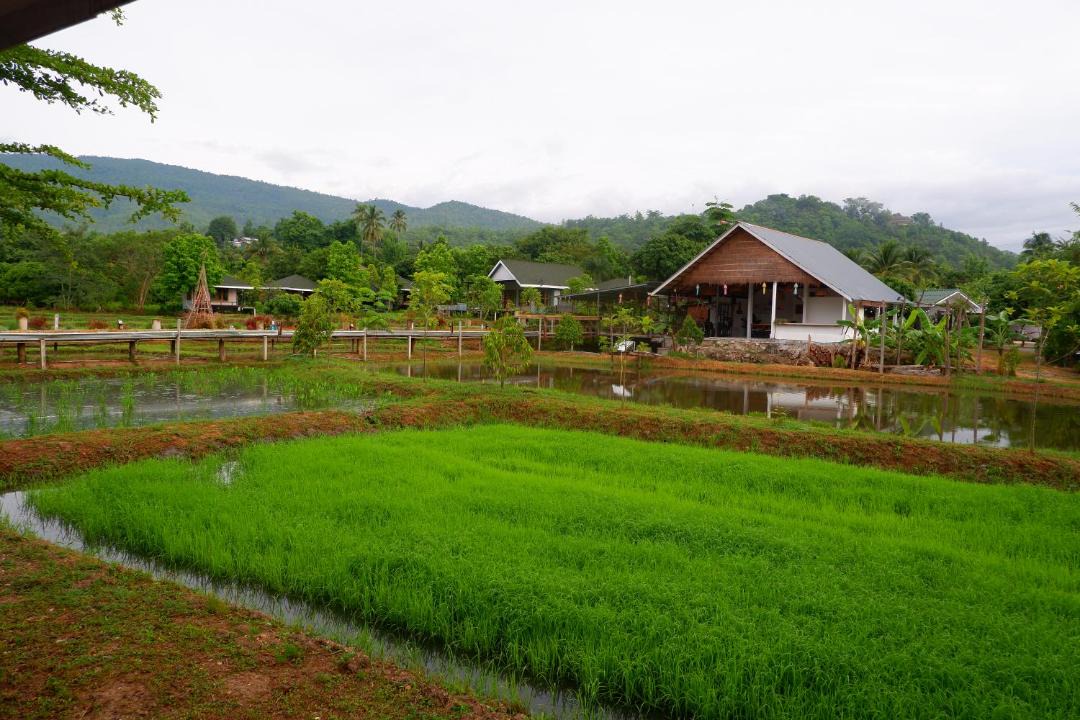 Photo of Others in Ban Luang