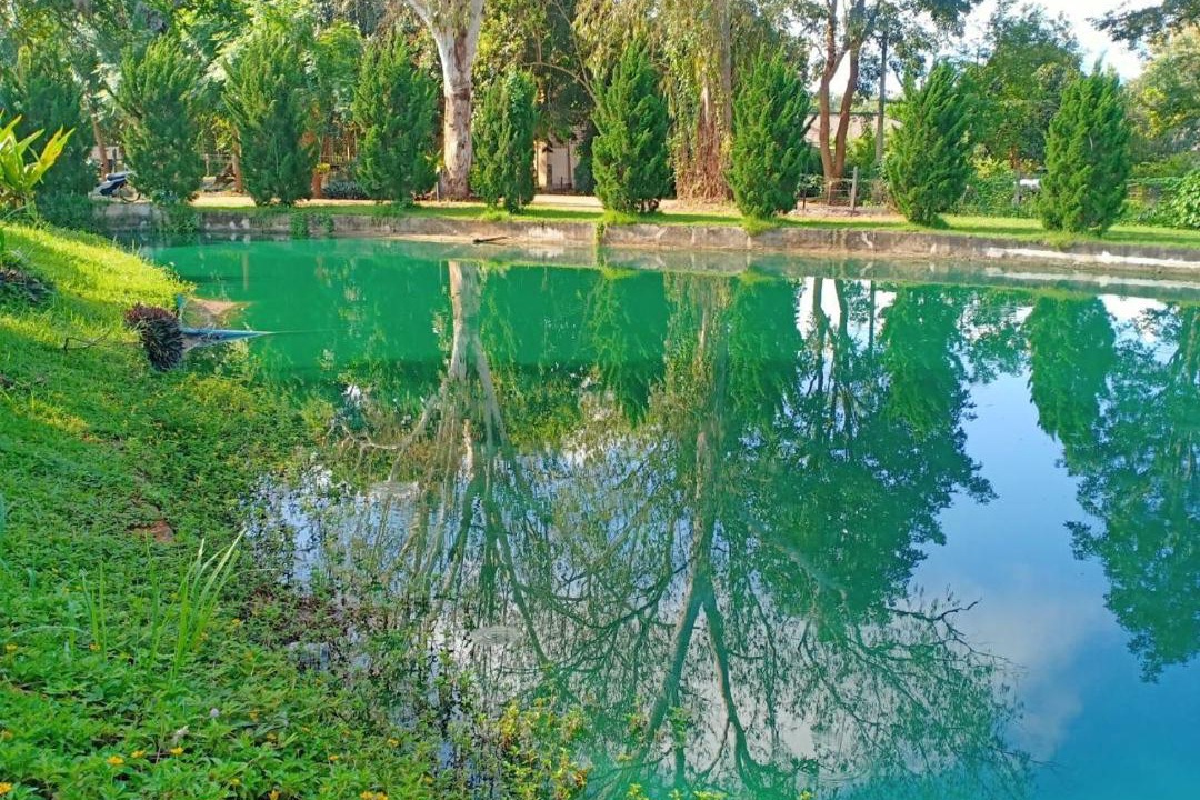 Photo of Outdoor in Chiang Dao