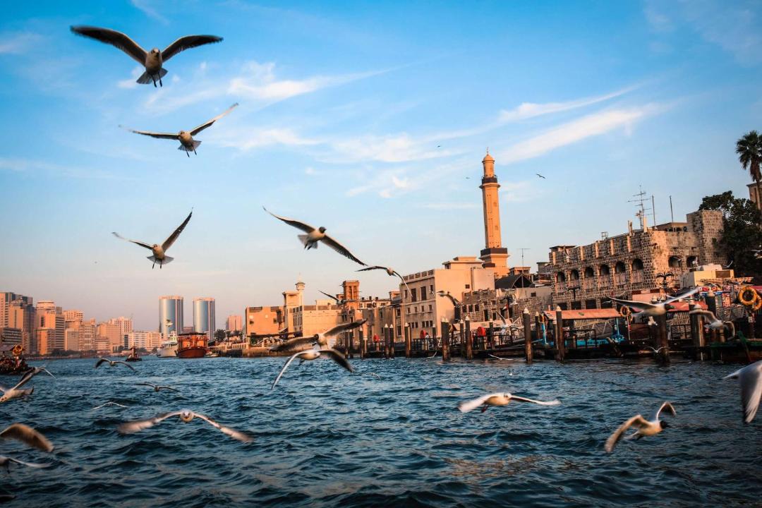 Photo of Others in Bur Dubai