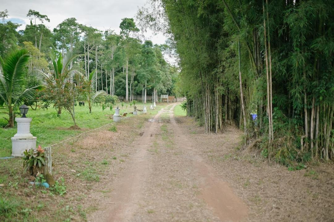 Photo of Others in Mae Suai
