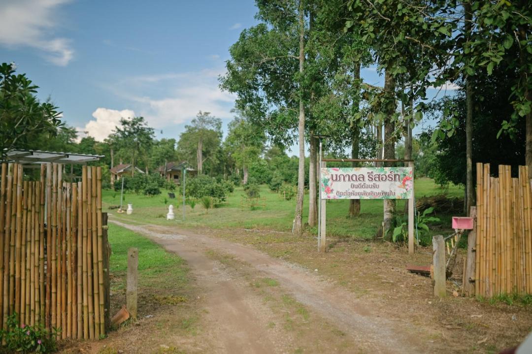Photo of Others in Mae Suai
