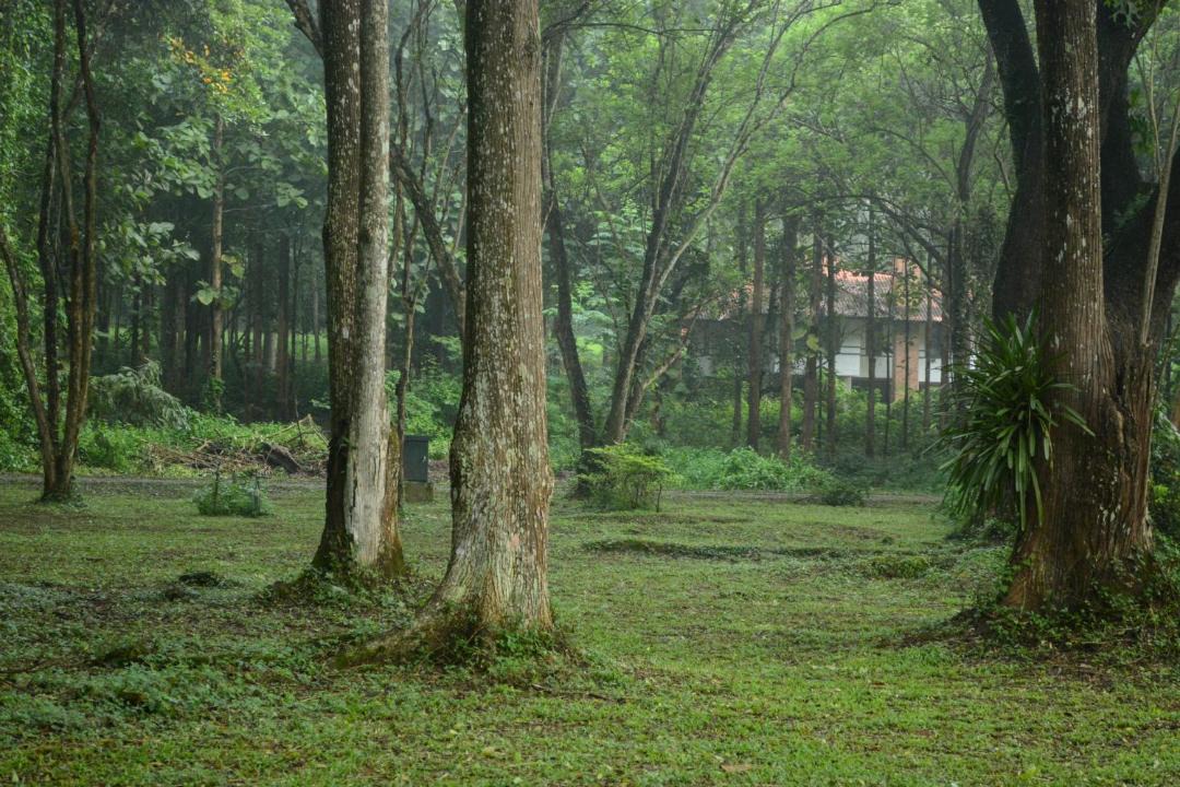 Photo of Others in Phrao