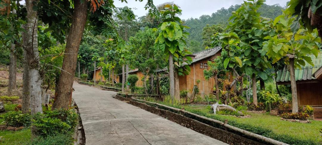 Photo of Others in Pang Mu