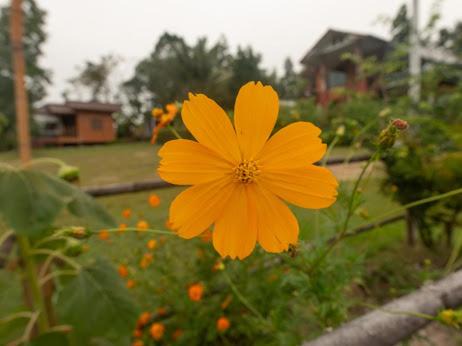 Photo of Others in Pai