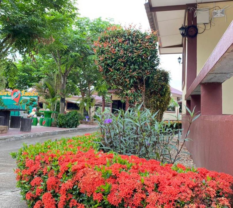 Photo of Others in Chiang Saen