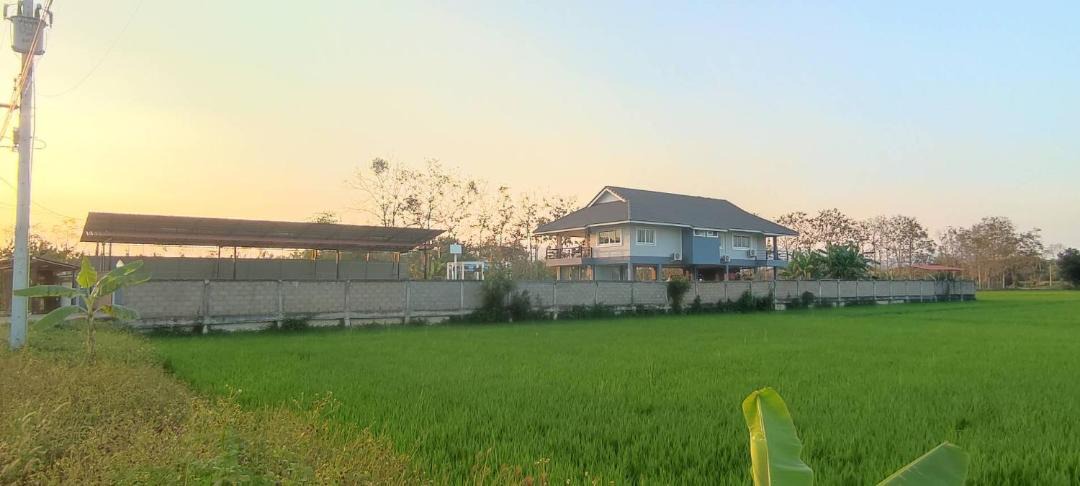 Photo of Others in Chiang Rai