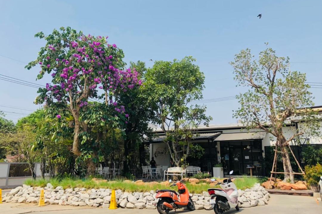 Photo of Others in Chachoengsao