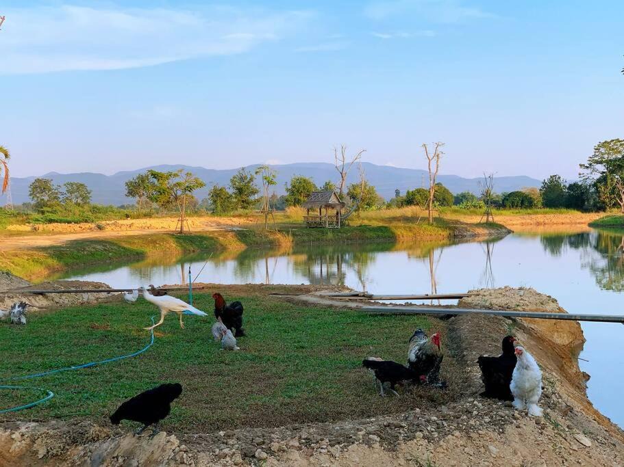 Photo of Others in Mae Rim