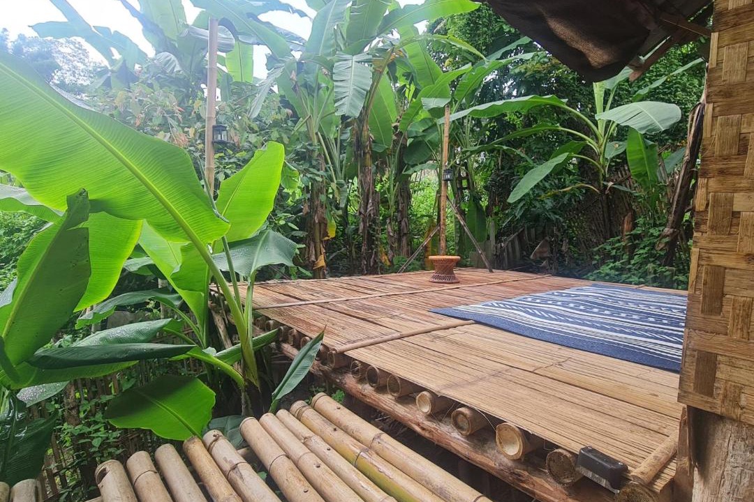 Photo of Others in Pai