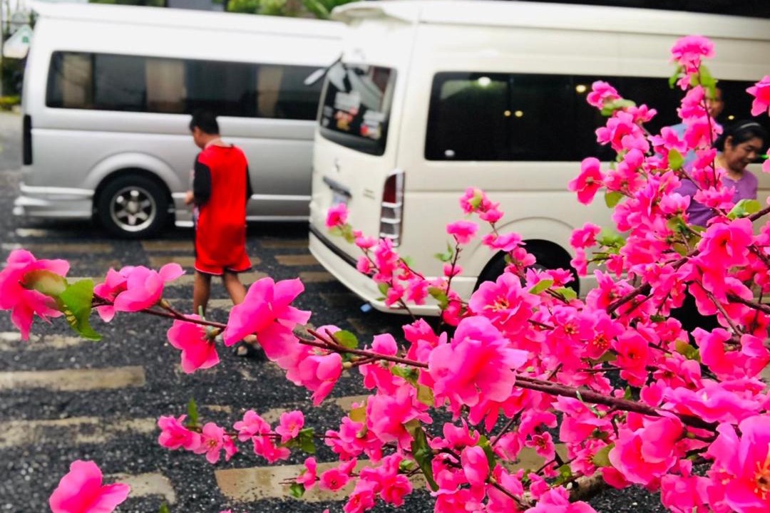 Photo of Others in Sao Phao