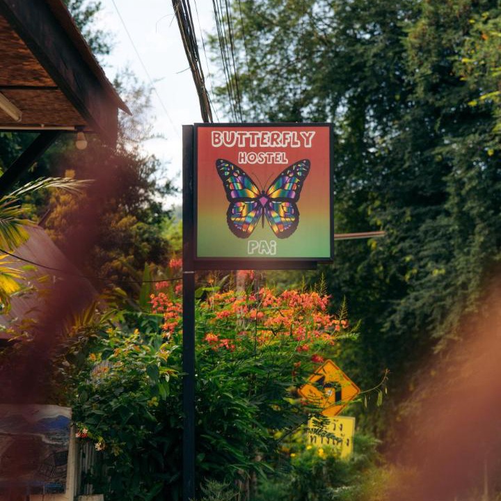 Photo of Others in Pai