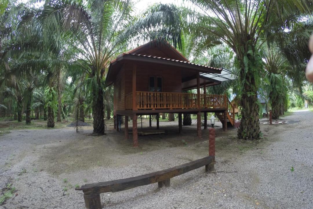 Photo of Others in Khlong Sok