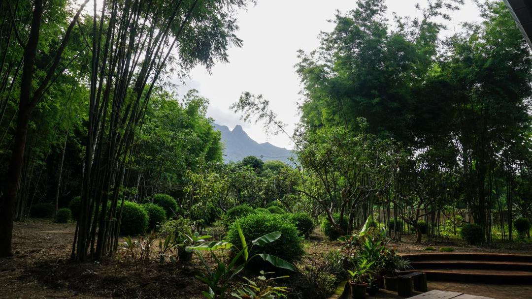 Photo of Others in Chiang Dao