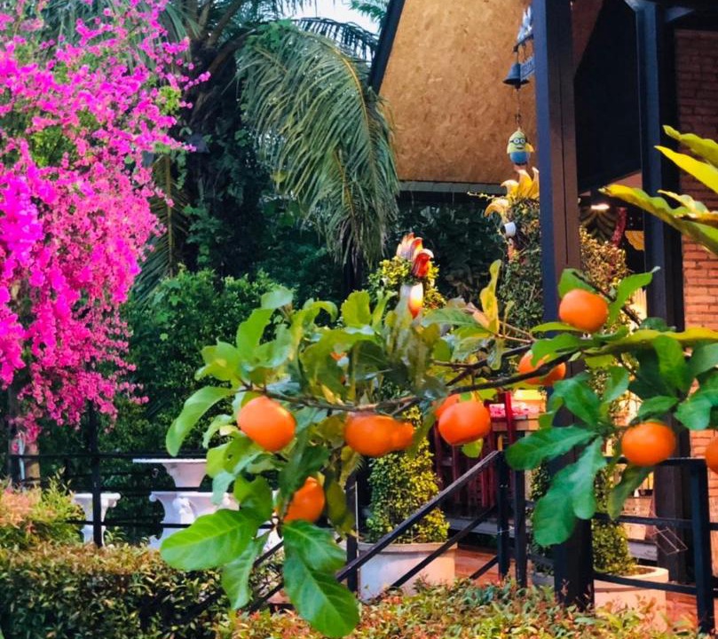 Photo of Patio Balcony in Sao Phao