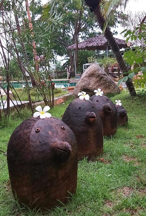 Photo of Others in Doi Saket