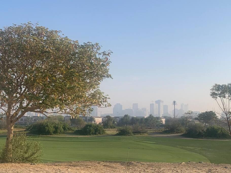 Photo of Others in Dubai