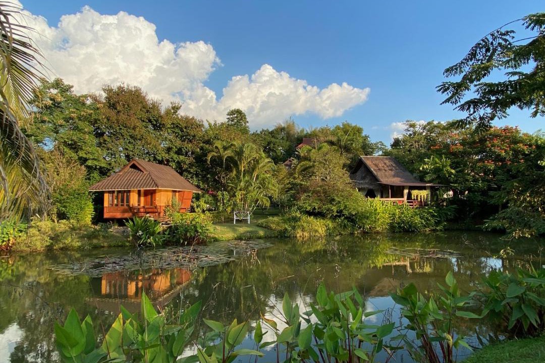 Photo of Others in Pai