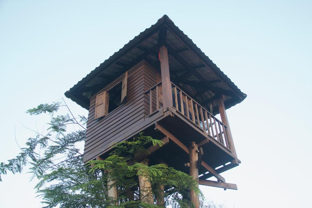 Photo of Others in Mae Chan