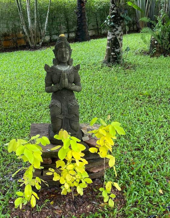 Photo of Others in Noen Hom