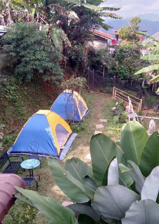 Photo of Others in Mae Fa Luang