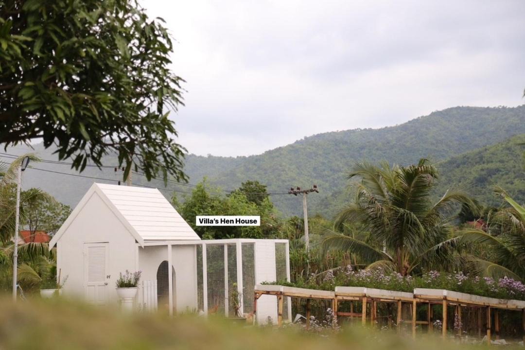 Photo of Others in Suan Phueng